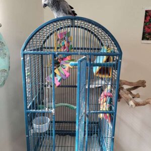 cage Terry Parrots Center™