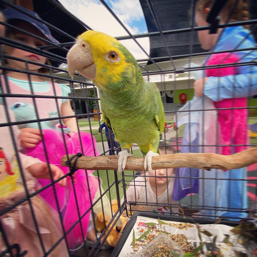 751 751 Terry Parrots Center™