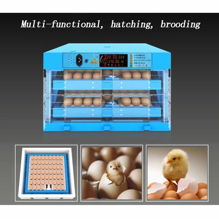 Eggs-Transparent-Hatching-Machine....-768x768 Eggs Transparent Hatching Machine. 768x768 3 Terry Parrots Center™
