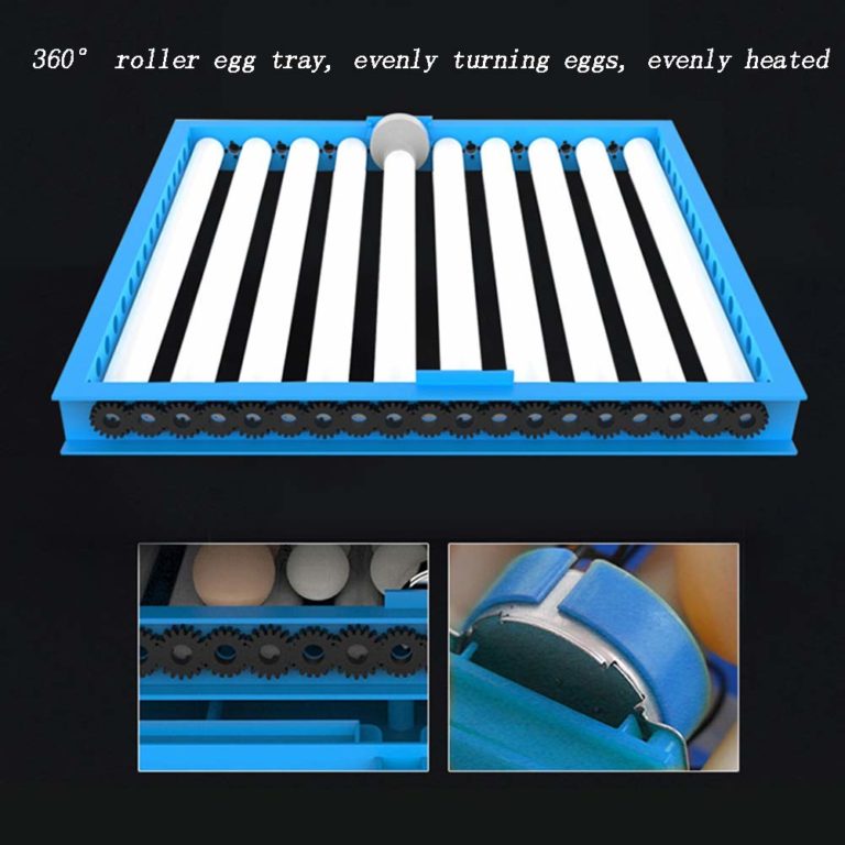 Eggs-Transparent-Hatching-Machine...-768x768 Eggs Transparent Hatching Machine. 768x768 4 Terry Parrots Center™