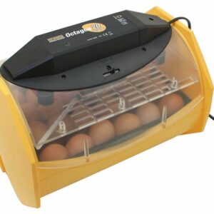 Manual Egg Incubator for Hatching 24 Chicken Eggs or Equivalent