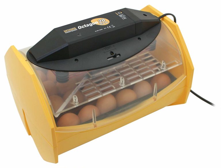 Manual-Egg-Incubator-for-Hatching-24-Chicken-Eggs-or-Equivalent-768x583 Manual Egg Incubator for Hatching 24 Chicken Eggs or Equivalent 768x583 1 Terry Parrots Center™