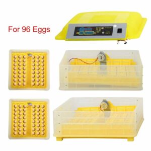 ZFF Egg Incubator Automatic Turning96 Eggs Hatcher. 768x768 1 Terry Parrots Center™